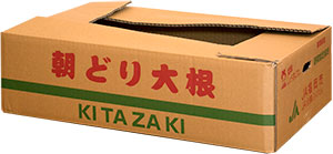 商品番号：005（大根）